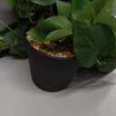 alyptus Fake Pothos Hanging Plants  33" Set of 2 Faux Ivy Vines with Pots, Realistic Silk Devils Ivy for Indoor Dcor, Low Maintenance Artificial Greenery for Home or Office (Green)