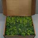 9ft Christmas Cedar Garland with Soft Thickness Pine, Artificial Green Faux Cedar Pine Garland for Mantle Fireplace Indoor Outdoor Holiday Party Home Decoration（2 Pcs）