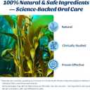 Dental Powder & Pet Teeth Cleaning Powder Kit for Dogs & Cats  Complete Oral Care Kit for Clean Teeth & Fresh Breath  Includes Dog Paw Balm, Nose Balm & Protective Paw Wax (1.76 Ounce (Pack of 1))