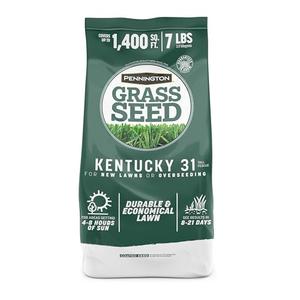 Pennington 100% Kentucky 31 Tall Fescue Penkoted Grass Seed 7 lb