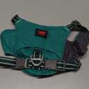 Tuff Pupper All-Day Wear Dog Harness | for Walking, Trail Running, Hiking | Front & Back Leash Clips | Reflective Trim | Easy On/Off Buckles | Lightweight Breathable | No Pull Design (Small, Teal)