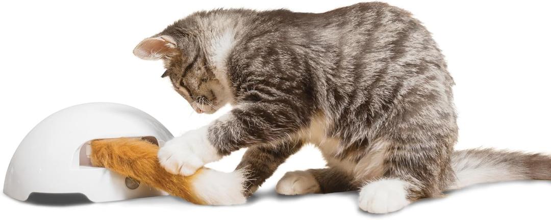 Premier Pet Fox Den Automatic Cat Toy, Interactive Toy for Indoor Cats