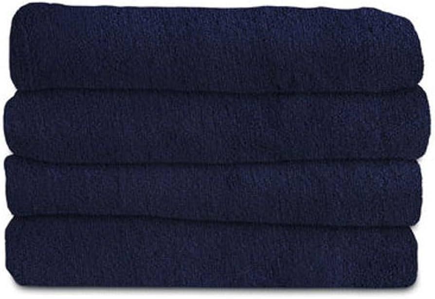 Sunbeam Microplush Electric Heated Throw Blanket Royal Blue