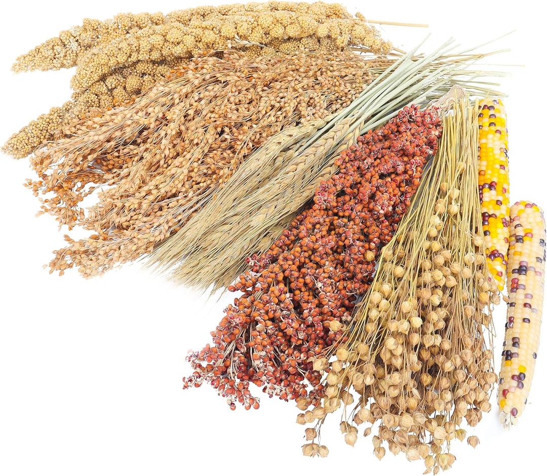 Sprays Set = Wheat + Flax + Yellow Millet + Panicle Millet + Corn Cob + White/Red Sorghum Stems, Pet Habitat Bedding Decor Accessories for Hamsters
