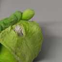 Interactive Moving Dog Toys  Plush Chew Toy with Bouncing Ball, Music & Recording | Rechargeable Self-Play Toys for Small, Medium & Large Dogs to Keep Them Engaged (Turtle)