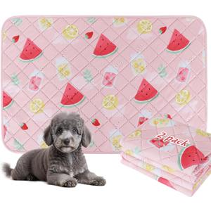 BVAGSS Washable Pee Pads for Dogs, 2 Pack Reusable Leakproof Puppy Wee Wee, Non-Slip Waterproof Pet Training, Super Absorbent Whelping XH081 (Watermelon, 24X18 Inch)