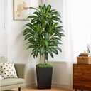 6FT Artificial Dracaena Tree - High-Density Foliage Fake Plant with Black Tall Planter - Faux Yucca Floor Plant for Home Office Decor Indoor