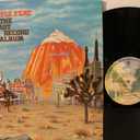 Last Record Album, Vinyl