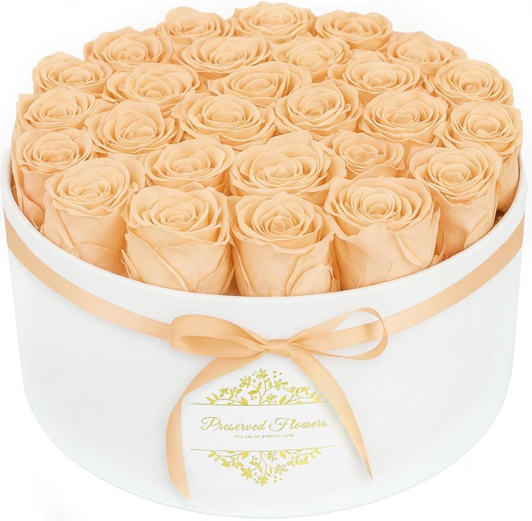 17 Forever Flowers in a Luxury Suede Box, Preserved Roses Birthday Gifts for Women, Romantic Anniversary Valentines Day Gifts for Her Girlfriend Wife, Champagne