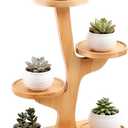 window shelf for plants - 4 Tier bamboo plant stand for Indoor | small plant stand & narrow plant stand for Windowsills
