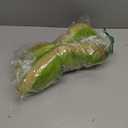 ANWA Adjustable Cat Cone Collar Soft, Cute Cat Donut Collar After Surgery, Kitten Recovery Cones to Stop Licking (Large, Kiwifruit)