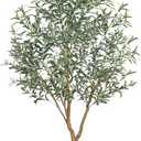 Olive Trees Artificial Indoor, 7FT Faux Olive Tree with White Tall Planter, Full Lush Artificial Plants with Large Olive Branches and Lifelike Fruits for Home Office Decor