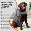 Lelepet Dog Diapers Female Washable, Reusable Puppy Doggie Pet Panties for Dogs in Heat, Adjustable Dog Diapers with Suspenders for Small Medium Large Dogs in Heat, Period, Incontinence, Grey XL