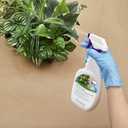 Silk'n Splendor Silk Plant Treatment 24 Ounce