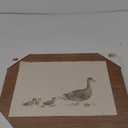 Duck Family Wall Art 19"×14"