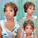 Pixie Cut Wig Human Hair for Black Women Short Pixie Cut Wigs Natural Looking 100% Real Human Hair Wigs Glueless Full Machine Made Wigs for Black Women (C-025 1B/4/27)