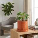 ÈMJÉ LUXE 6 Inch Ceramic Plant Pot with Drainage Hole & Tray – Terracotta