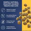Ernie Els All Natural Salmon Cat Treats - Premium Soft Cat Treats for Healthy Snacking, Training and Rewards - 3 Ounce (Pack of 2) (EXP 11/27/25)