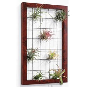 AOAOPQ Red Hanging Air Plant Holder Mesh Frame Wall Mounted for House Plants Succulent Office House Patio Garden Balcony
