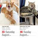 365 Cats Page-A-Day® Calendar 2026: The World's Favorite Cat Calendar