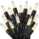 Clear Christmas Lights 25FT 100 Incandescent Bulbs Warm White Mini Lights with Black Wire for Christmas Tree, Garland, Thanksgiving, Wedding, Party, Home, Indoor & Outdoor Festival Decoration