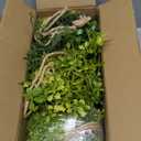 PENGYEE 3 Packs Fake Hanging Plants with White Pots, 13" Artificial Hanging Plants for Wall Decor, Fake Plants Mandala Vine Indoor/Outdoor for Home Bathroom Bedroom Kitchen Office Room Decor