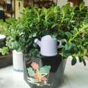 4 Pack Plant Watering Devices, Watering Can Shape Terracotta Watering Spikes, Vacation Self Watering Planter Insert, Automatic Plant Waterer for Indoor Outdoor Plants (Watering Cans)