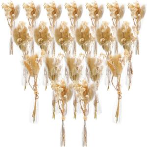 Boho Dried Flower Bouquet, Mini Flower Bouquet, Mini Dried Baby's Breath Flowers for Crafts DIY Wedding Shooting Prop Envelope Decoration(20 Pcs)