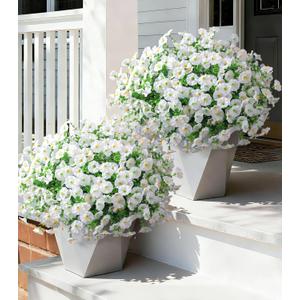Ivydale 24 Bundles Artificial Flowers for Outdoors Summer Outside Decoration, Faux Silk Petunias White Fake Flowers Bulk Realistic UV Resistant Plants for Outdoor Planters Porch Patio Garden Yard Home