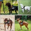 SlowTon No Pull Dog Harness - Heavy Duty Dog Harness and Leash Set for Medium Large Dogs, Reflective Tactical Harness with Soft Padded and Front Clip for Easy Walk and Training (B, XL)