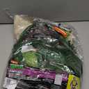 Nickelodeon Teenage Mutant Ninja Turtles Costumes for Boys - TMNT Halloween Costume for Kids with Muscle Bodysuit, Mask, Shell, More (Raphael, 8-10)