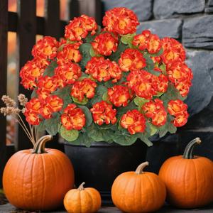 Dremisland Fall Flowers Artificial for Decoration 6 Pack Fake Geraniums Realistic Fall Decor Outdoor UV Resistant Fall Flowers Plants Autumn Decor for Home Garden Planter Patio Balcony Yard Halloween Dremisland Fall Flowers Artificial for Decoration 6 Pack Fake Geraniums Realistic Fall Decor Outdoor UV Resistant Fall Flowers Plants Autumn Decor for Home Garden Planter Patio Balcony Yard Halloween