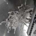 HEYFUNi Warm White Star String Lights,39FT 100LED Plug in Fairy Twinkle Lights with 8 Modes Waterproof for Indoor Outdoor Christmas Tree, Home, Girls’ Room, Garden, Party, Wedding Decor(Warm White)