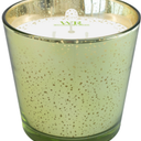 Hannas Mercury Garden Rain Jar Candle, 24 oz
