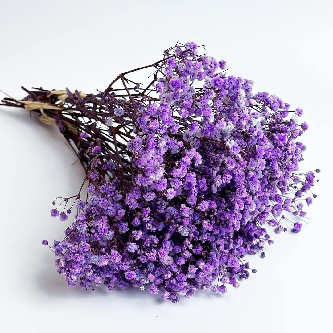 Preserved Baby's Breath 3 Bunches, 100% Natrual Fresh Gypsophila Long Lasting Flowers for Vase Arrangements Home Decoration Photo Props Parties and Weddings, DIY Décor-Light Purple