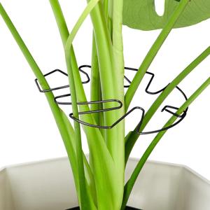 Yeomant 6PCS Iron Monstera Plant Support, Uniquely Designed Indoor Plant Accessories, Stable Plant Support Stakes for Indoor Plant, Turtle Shell Bamboo Clamp Set for Thriving Growth