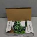 Der Rose 4 Pack Fake Plants Mini Artificial Greenery Potted Plants for Home Decor Indoor Office Table Room Farmhouse Bathroom Decor