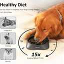 YINEYA Slow Feeder Dog Bowls, Pet Supplies that Slow Down Eating, Pet Food Bowls, Maze Dog Puzzle Feeder for Medium Breed