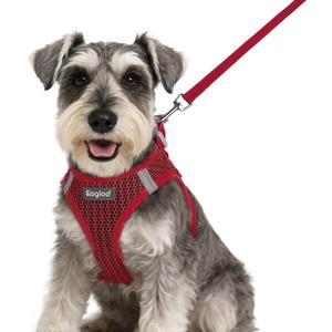 Eagloo Small Dog Harness and Leash Set, Step in Puppy Vest with Breathable Soft Mesh, Walking Reflective Pet Harness for Small Dogs, Red, S (S(Chest:15.1"-16.5"))