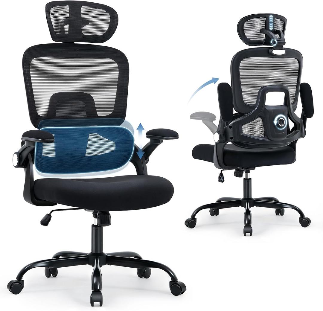 Office Chair with Adjustable Lumbar Support, Ergonomic Desk Chairs, Black