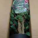 5FT Artificial Bougainvillea Tree  Faux Silk Pink Bougainvillea Plant with Pot for Indoor Outdoor Decor, Tall Fake Tropical Tree for Home, Office, Patio, Balcony, Wedding Decoration (5ft Rose Red)