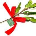 Artificial Mistletoe Floral Pick With Red Satin Bow, Set of 2