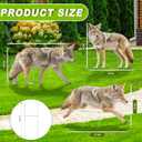 3 Pack 27x 25 Inch Coyote Decoy for Geese, Lifelike Predator with Metal Stakes, Fake Predator Hunting Decoy 2D Silhouette Coyote Devices for Yard Garden