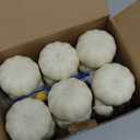 FUTUREPLUSX 12PCS Mini White Pumpkins for Decor, Fake Pumpkins to Paint, Halloween Thanksgiving Decorating Displaying