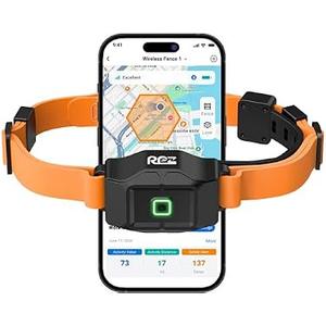 RPZ GPS Wireless Dog Fence Collar with App, No Subscription, 2-in-1 Wireless Dog Fence & Training Collar, IP67 Waterproof Rechargeable Electric Fence Collar for Outdoor Dogs, Orange