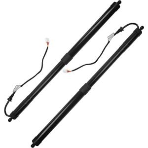 Dasbecan 2 PCS Rear Electric Tailgate Power Lift Support Shock Strut Compatible with Lexus RX350 2016-2019, RX450h 2016-2017, RX450h 2018-2019, Replaces# 6892048031 6891048071