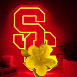 Team Neon SignsNeon Signs for Wall DecorLED Neon Lights for BedroomGame Roomor Man CaveBirthdayChristmas Gifts for kids
