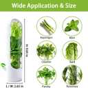 3 Pack Herb Saver for Refrigerator Fresh Herb Keeper with Removable Silicone Drain Plug Vegetable Preservation Storage Container for Cilantro Mint Basil Extends Freshness Up to 2-3 Weeks