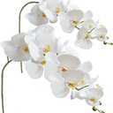 FagusHome Artificial Phalaenopsis Flowers Branches 9 Large Blooms Artificial Orchid Flowers Stem Plants 42 Inches 2 Pcs for Home Wedding Dcor (White)