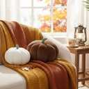 Yookeer 2 Pcs Fall Pumpkin Pillows, Corduroy 3D Simulated Pumpkin Throw 7'' and 11'' Soft Autumn Decorative Sofa Cushion for Thanksgiving Halloween Christmas Bedroom Home Decor(Brown, White)